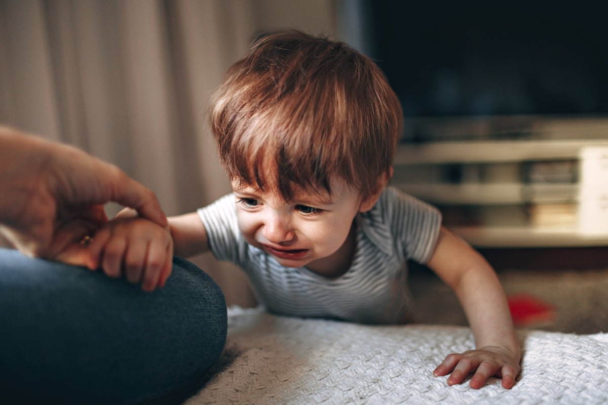 How Toddler Tantrum Tips Can Transform Your Parenting Journey - vilmami