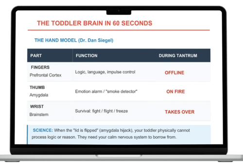 What To Say During Toddler Tantrums - vilmamiDigital System