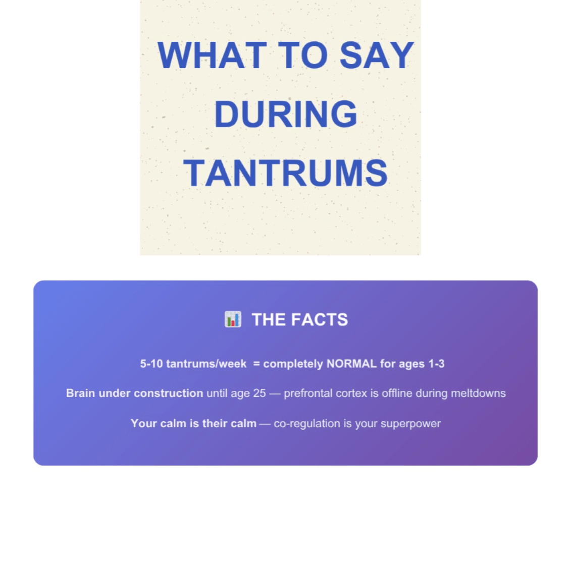 What To Say During Toddler Tantrums - vilmamiDigital System