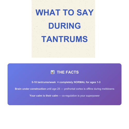 What To Say During Toddler Tantrums - vilmamiDigital System